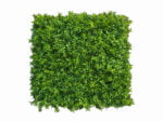 Buchsbaum Mäusedorn Kunsthecke