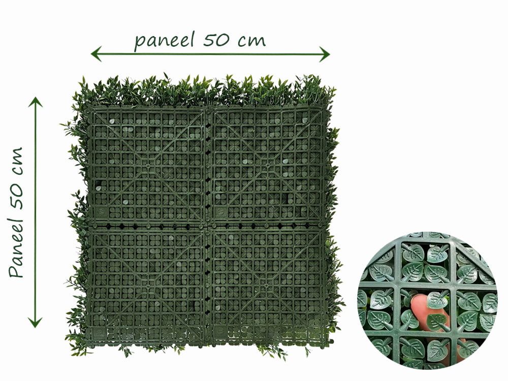 Buchsbaum Maeusedorn Kunsthecke hinteren Buchsbaum Maeusedorn Kunsthecke hinteren