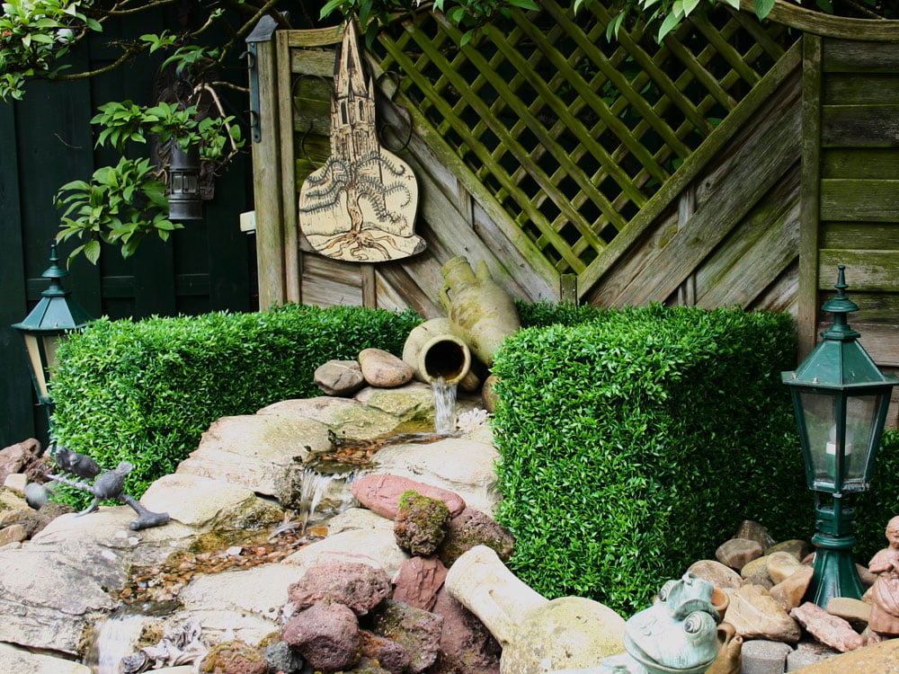 Buchsbaum Mäusedorn Kunsthecke projekt foto Buchsbaum Mäusedorn Kunsthecke projekt foto