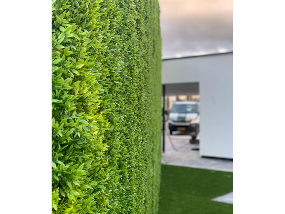 Buchsbaum Mäusedorn Kunsthecke projekt foto 4 Buchsbaum Mäusedorn Kunsthecke projekt foto 4