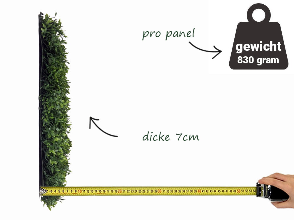 Buchsbaum Mäusedorn Kunsthecke seite Buchsbaum Mäusedorn Kunsthecke seite