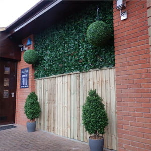 Easydeko-Kunsthaag-John-Stobart-Photinia-Red-Robin