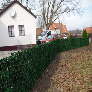 Easydeko-Kunsthaag-Teun-Stam-Hedera-helix
