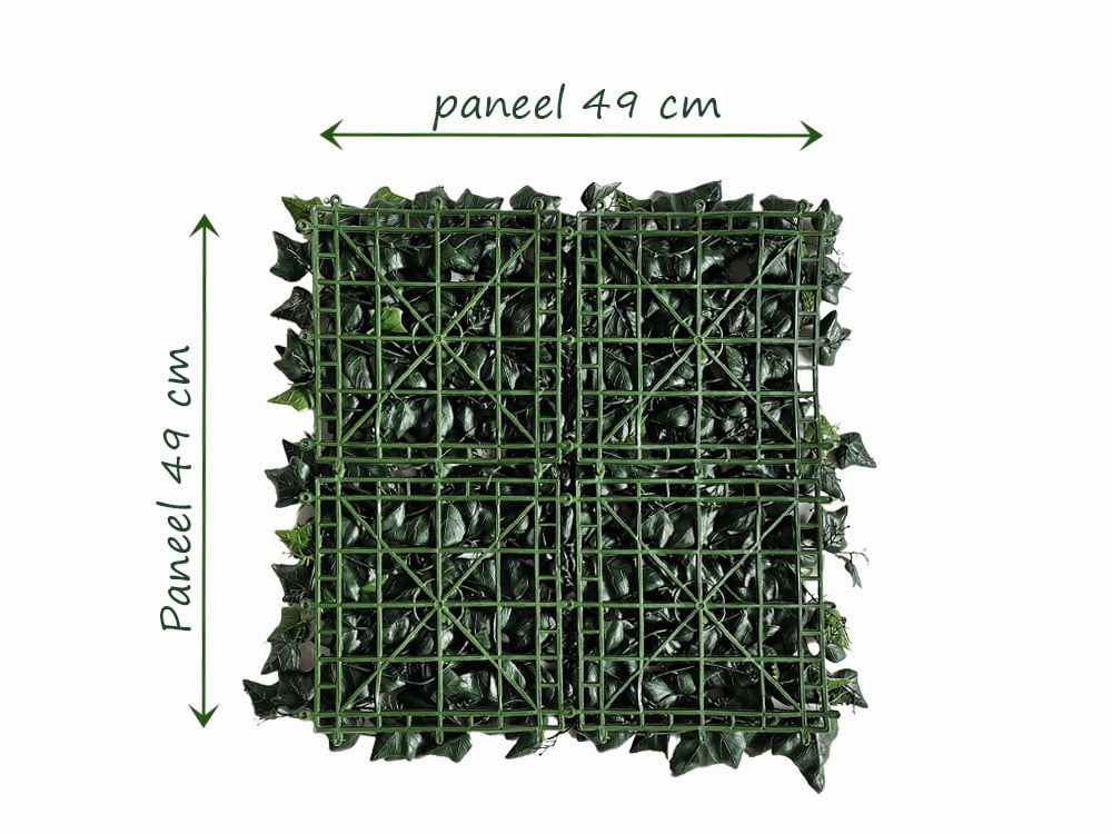 Hedera efeu kunsthecke hinteren Hedera efeu kunsthecke hinteren