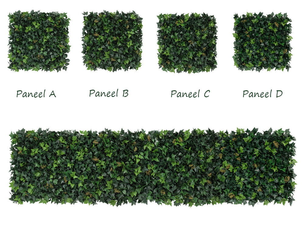 Hedera mit Blume Kunsthecke kein muster Hedera mit Blume Kunsthecke kein muster