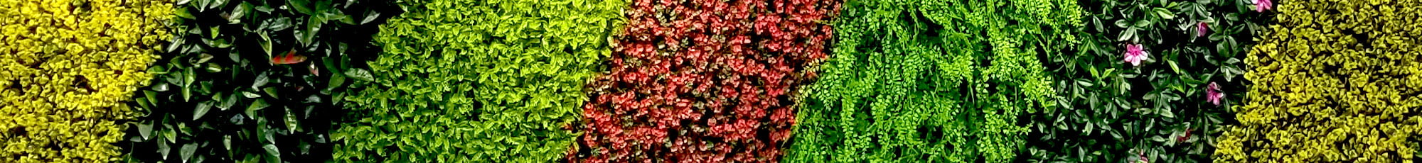 Kunst-groenewand-kunsthaagvoordeel-verschillende-kleuren-en-soorten-plantenwand