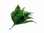 Kunsthecke einstecken pflanze Farn - 20cm