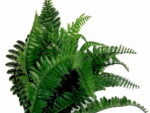 Kunsthecke einstecken Pflanze Farn - 20cm – Bild 2