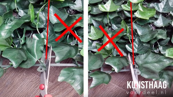 Kunsthaagvoordeel-juist-afknippen-kunsthaag-blog Kunsthaagvoordeel-juist-afknippen-kunsthaag-blog