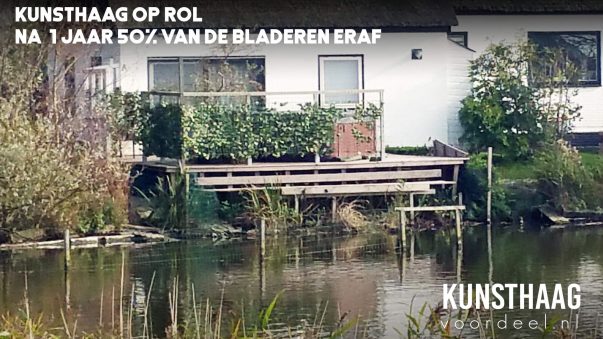 Kunsthaagvoordeel-kunsthaag-op-rol-goekoop-is-duurkoop-blog Kunsthaagvoordeel-kunsthaag-op-rol-goekoop-is-duurkoop-blog