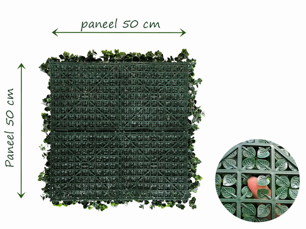 Leucadendron gruen Kunsthecke hinteren Leucadendron gruen Kunsthecke hinteren