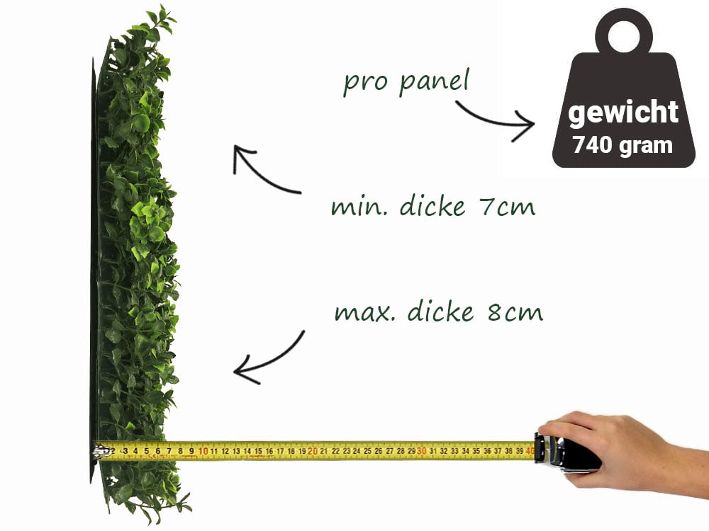 Leucadendron grün Kunsthecke seite Leucadendron grün Kunsthecke seite