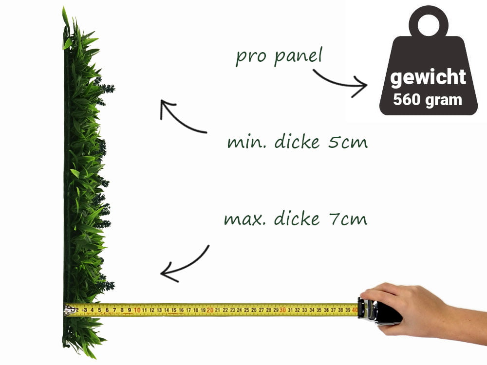 Liliengras Liriope mit Blume Kunsthecke seite Liliengras Liriope mit Blume Kunsthecke seite