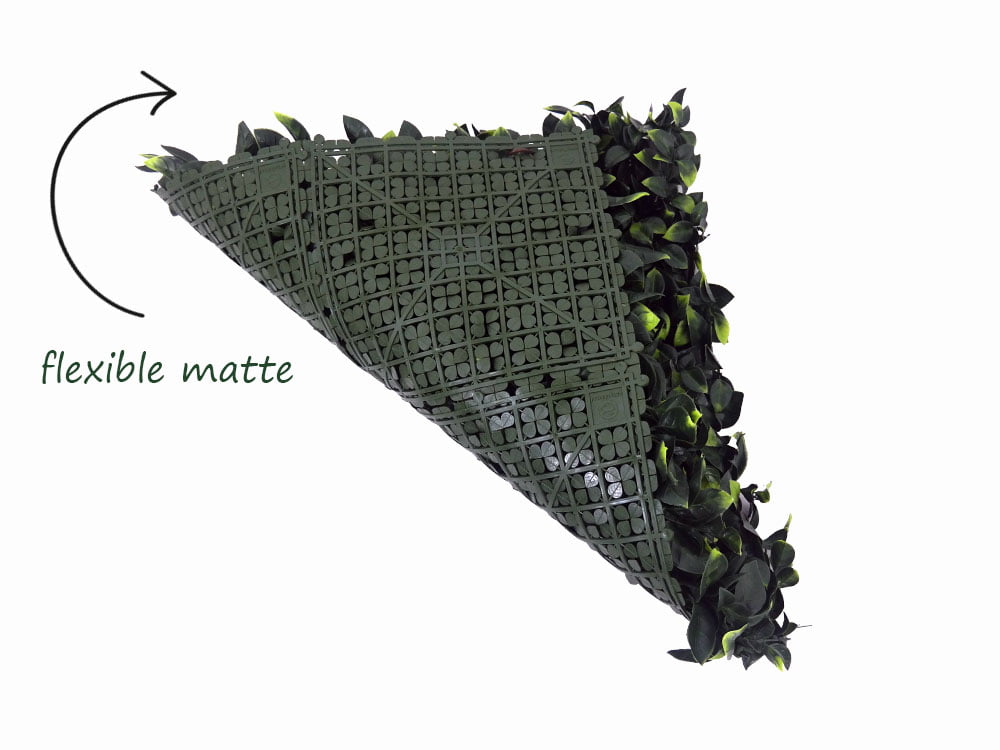 Pampelmuse Citrus Maxima Kunsthecke flexible matte Pampelmuse Citrus Maxima Kunsthecke flexible matte