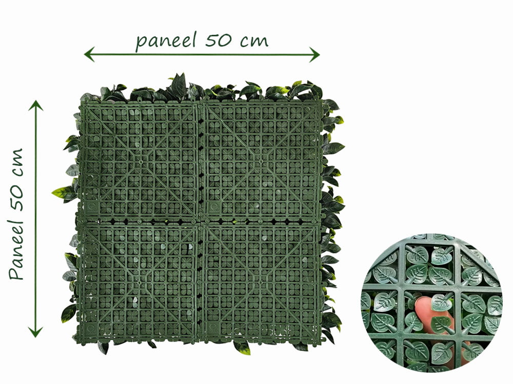 Pampelmuse Citrus Maxima Kunsthecke hinteren Pampelmuse Citrus Maxima Kunsthecke hinteren