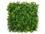 Sedum Vegetation Kunsthecke