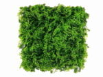 Vegetation feines Blatt Kunsthecke - feuerhemmend klasse C - 50x50cm
