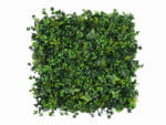 Vegetation Grob Hedera Kunsthecke