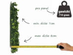 Vegetation Grob Hedera Kunsthecke seite