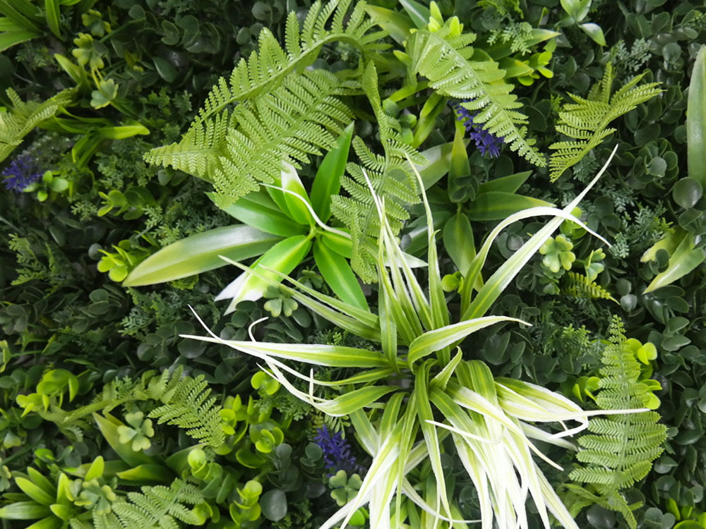 Vegetation Jungle Blume Pflanzenwand detail Vegetation Jungle Blume Pflanzenwand detail