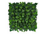 Hedera efeu kunsthecke