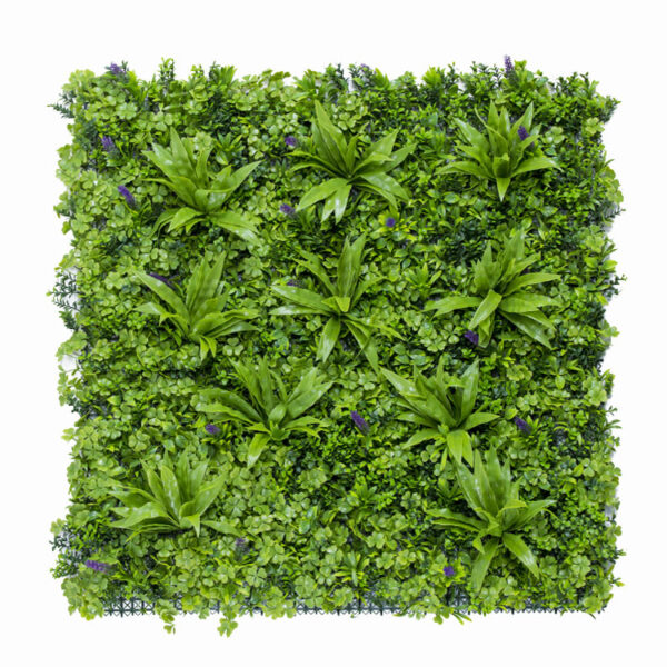 Vegetation Sedum Blume pflanzenwand - 100x100cm