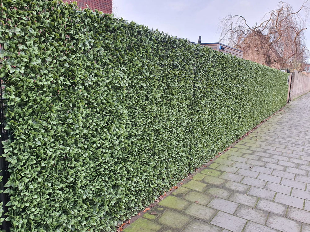 Gardenie Kunsthecke projekt foto Gardenie Kunsthecke projekt foto