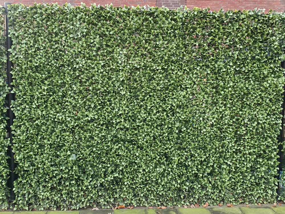 Gardenie Kunsthecke projekt foto 1 Gardenie Kunsthecke projekt foto 1