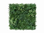 Vegetation grober Blaetterjungle Pflanzenwand