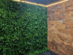 Vegetation grober blaeterjungle pflanzenwand projekt foto 1