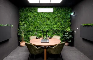 Vegetation grober blaeterjungle pflanzenwand studio