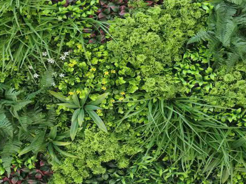 Jungle gelb weiße Blüten Pflanzenwand Jungle gelb weiße Blüten Pflanzenwand