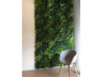 Vegetation Farn gelb Kunsthecke project foto