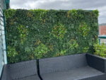 Vegetation Farn gelb Kunsthecke project foto 3