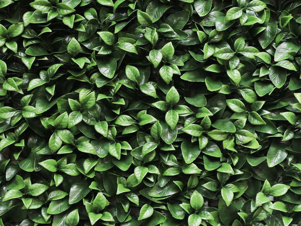 Gardenie Kunsthecke Gardenie Kunsthecke