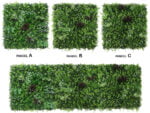 Vegetation Liliengras weisse Blueten Pflanzenwand kein- muster
