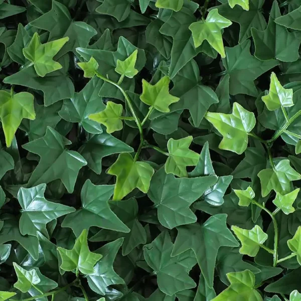 Hedera blickdichte Rückseite kunsthecke
