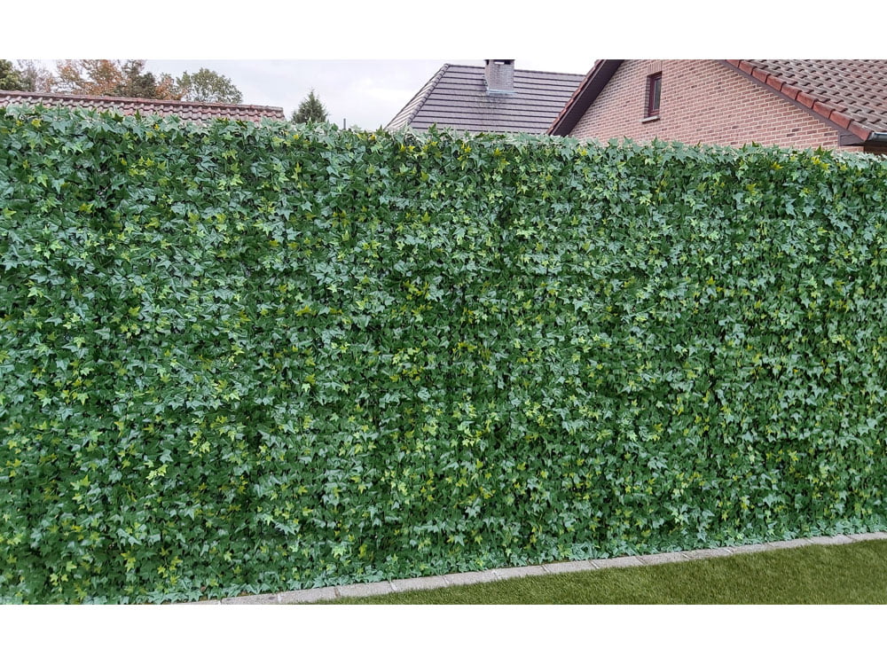 Hedera blickdichte Rueckseite kunsthecke 1 Hedera blickdichte Rueckseite kunsthecke 1