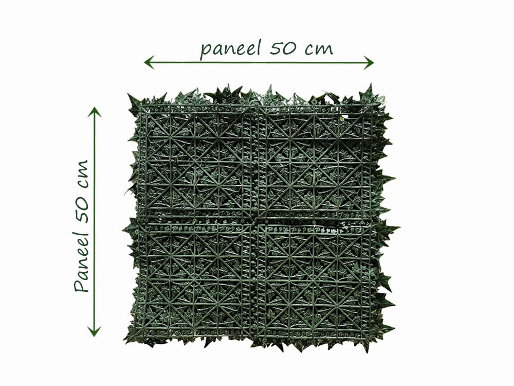 Hedera blickdichte ruckseite kunsthecke hinteren Hedera blickdichte ruckseite kunsthecke hinteren