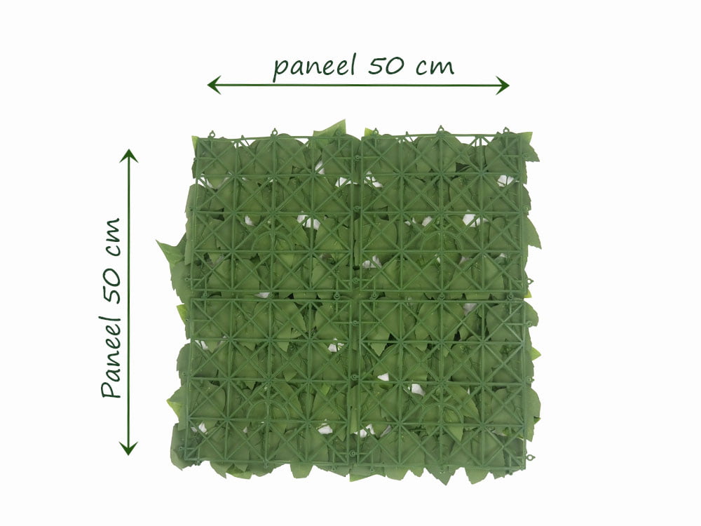 Efeu Hedera Budget kunsthecke hinteren Efeu Hedera Budget kunsthecke hinteren