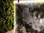 Dracaena gelb kunsthecke projekt foto 5