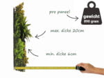 Dracaena gelb kunsthecke seite