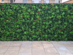 Dracaena rosa Orchidee Kunsthecke gartenanwendung