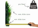 Dracaena rosa Orchidee Kunsthecke information