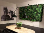 Dracaena rosa Orchidee Kunsthecke innerhalb anwendungen