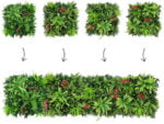 Dracaena rosa Orchidee Kunsthecke kein muster zusammen