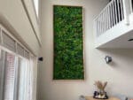Dracaena rosa Orchidee Kunsthecke malerei
