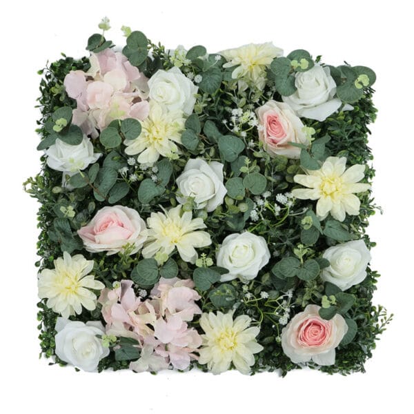 Relaxed rose Rosenwand