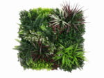 Axillaris in Rottönen kunsthecke