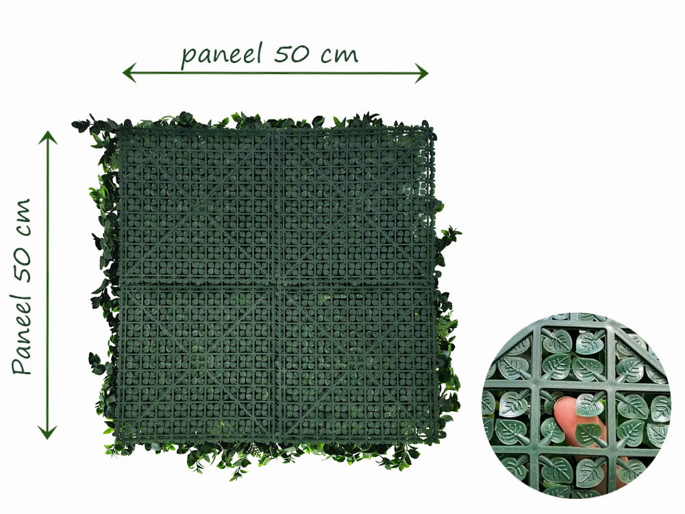 Vegetatie hedera varen Achterzijde koppelmaat Vegetatie hedera varen Achterzijde koppelmaat